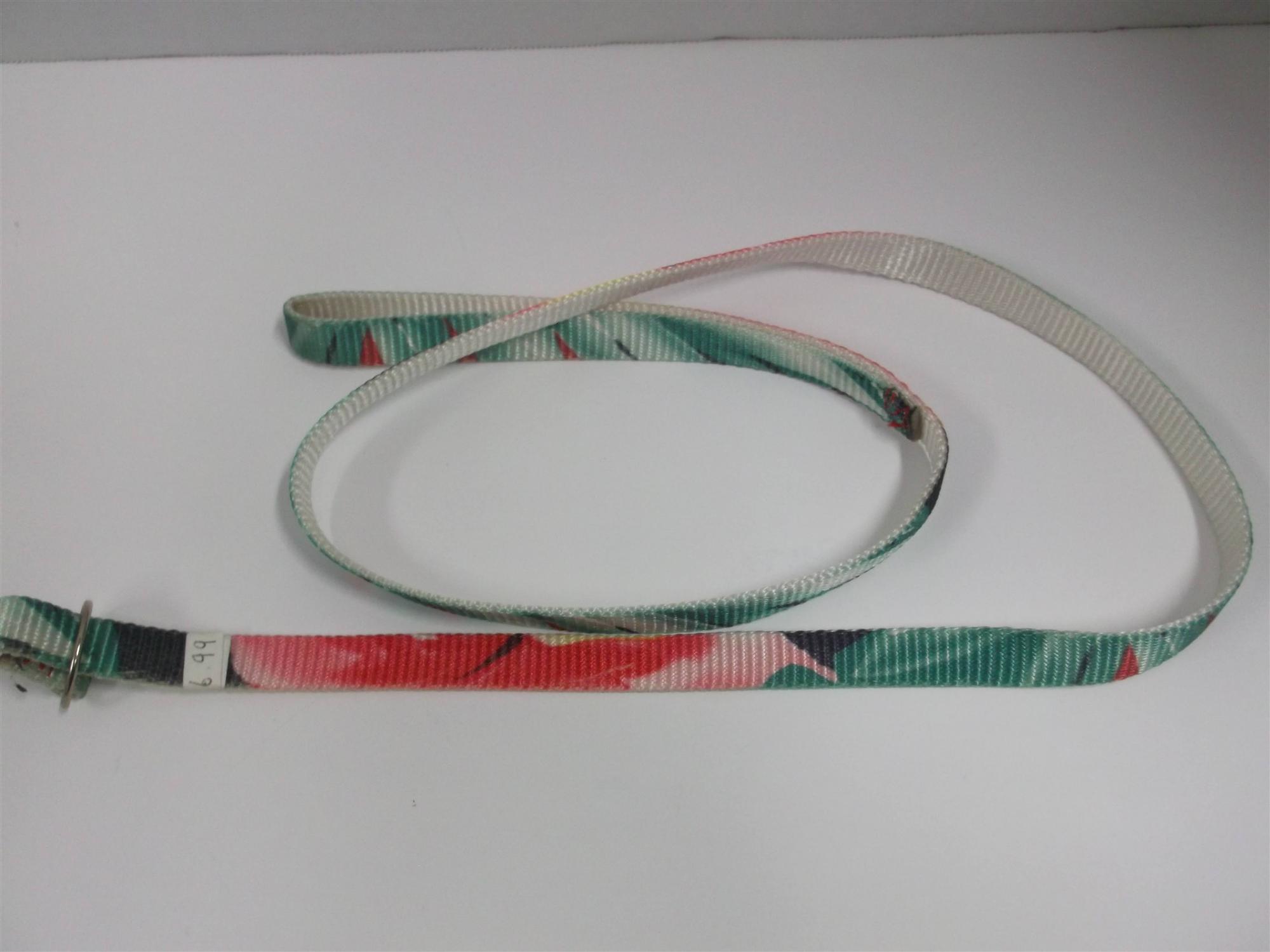 Red & Green Leash