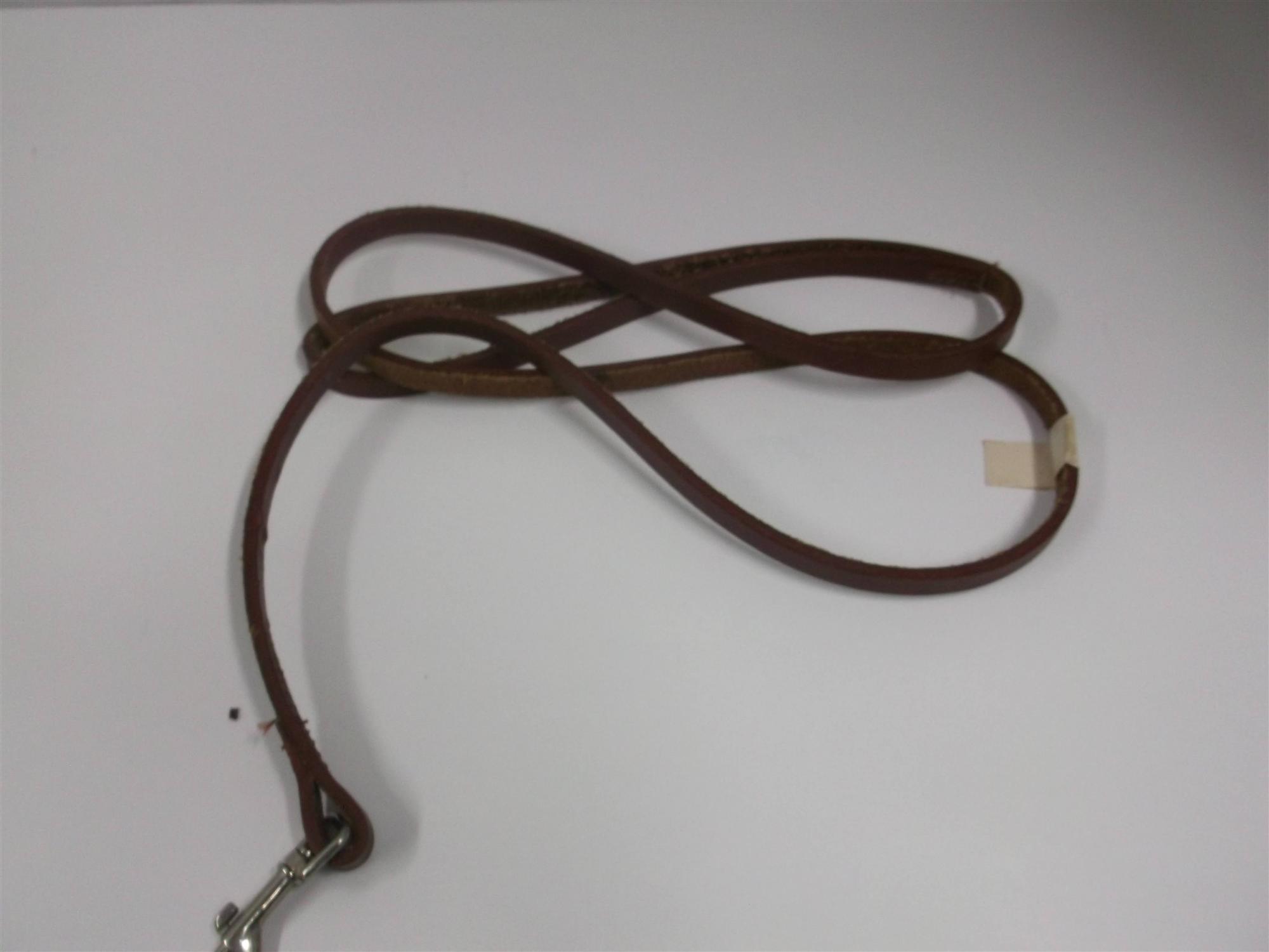 Leather Leash